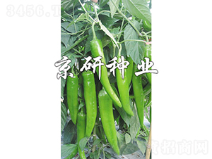 ����218-�����N��-���зN�I(y��)