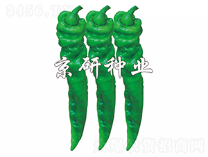 ����79-�����N��-���зN�I(y��)