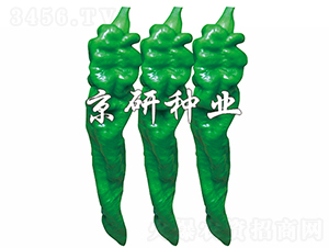 ����103-�����N��-���зN�I(y��)