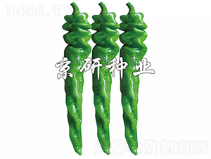 ����703-�����N��-���зN�I(y��)