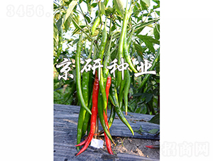 ����1̖(h��o)-�����N��-���зN�I(y��)