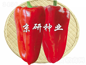 ���T4̖(h��o)-�����N��-���зN�I(y��)