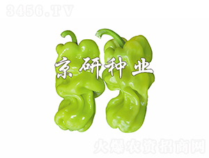 ��Ƥ1̖(h��o)-�����N��-���зN�I(y��)