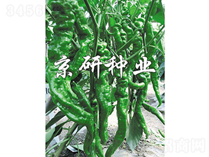 �ݽz�����F1-�����N��-���зN�I(y��)