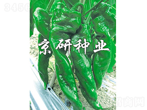 ����92-�����N��-���зN�I(y��)