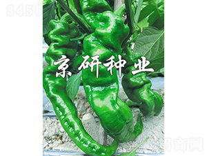 ����26-�����N��-���зN�I(y��)