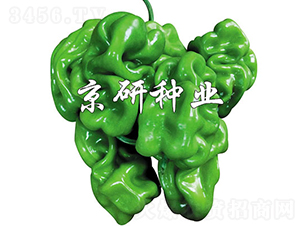 ���а�Ƥ4̖(h��o)-�����N��-���зN�I(y��)