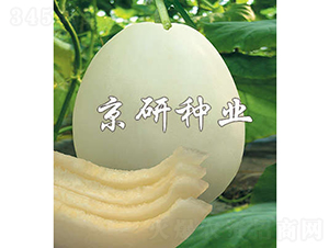 ����268-��ϷN��-���зN�I(y��)