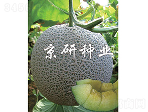 ����5̖(h��o)-��ϷN��-���зN�I(y��)