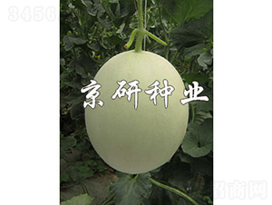 �����2̖(h��o)-��ϷN��-���зN�I(y��)