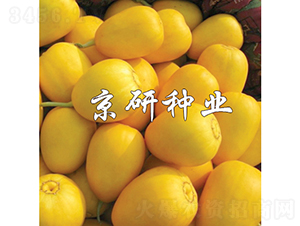 ����357-��ϷN��-���зN�I(y��)