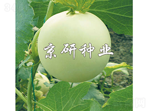 ����1̖(h��o)-��ϷN��-���зN�I(y��)