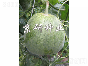 ����848-2-��ϷN��-���зN�I(y��)