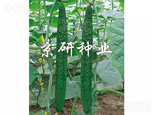 ���S298-�S�ϷN��-���зN�I(y��)