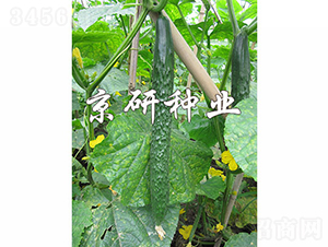 ���д���G3̖-�S�ϷN��-���зN�I(y��)