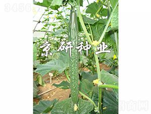 ����118-�S�ϷN��-���зN�I(y��)