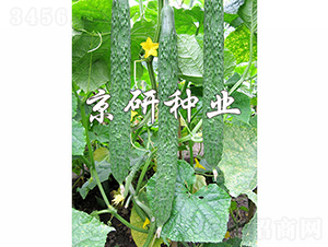 ��������2̖-�S�ϷN��-���зN�I(y��)