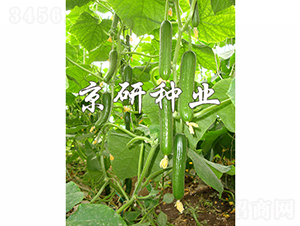 ��������9̖-�S�ϷN��-���зN�I(y��)