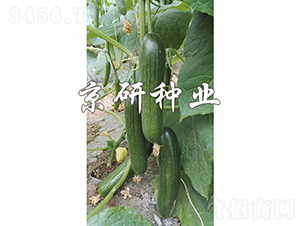 �G���`10̖-�S�ϷN��-���зN�I(y��)