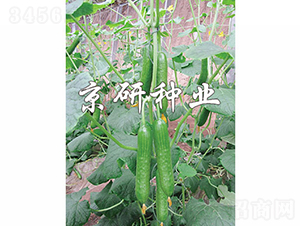 �G���`5̖-�S�ϷN��-���зN�I(y��)