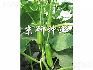 �G���`4̖-�S�ϷN��-���зN�I(y��)