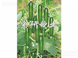 ��������4̖(h��o)-�S�ϷN��-���зN�I(y��)