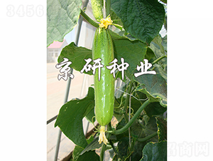 ���к���5̖(h��o)-�S�ϷN��-���зN�I(y��)