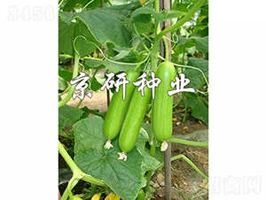 ���д�������2̖(h��o)-�S�ϷN��-���зN�I(y��)