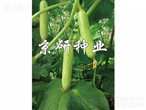 �׾��`-�S�ϷN��-���зN�I(y��)