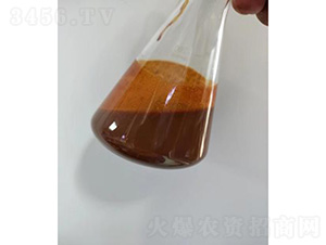 ��(n��i)�ɰ�����Һ-��������