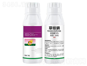 10%���@�-�Z�ܼ�