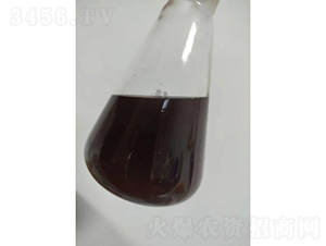 秦皇島氨基酸液-灃瑞生物