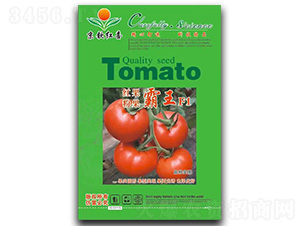 ���t���N��-�۹�����F1-���J�tϲ