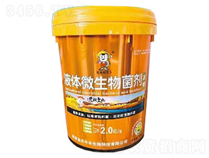 液體微生物菌劑-金農(nóng)今豐
