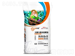 大量元素水溶肥料20-20-20+TE-文婷肥業(yè)