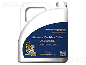 ���׌����A�Մ�-����-�Ϙ�(l��)��