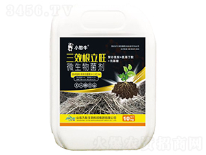 10kg��Ч������΢�������-С��ţ-��������