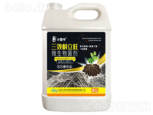 5kg��Ч������΢�������-С��ţ-��������