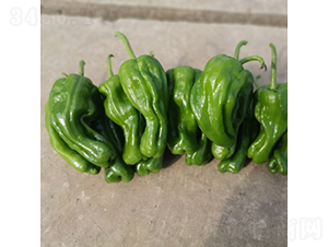 ���ᭇһ̖(h��o)-�����N��-��������