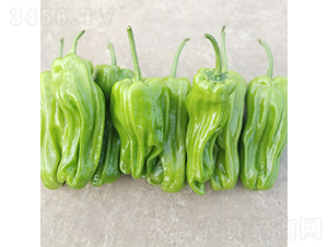 ���ᭇ��̖(h��o)-�����N��-��������