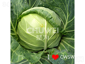 ���A��104-���{(l��n)�N��-��������