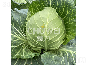 �G�_�_-���{(l��n)�N��-��������