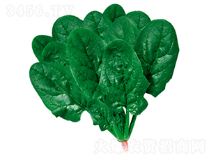 ����505-���˷N��-�����N�I(y��)