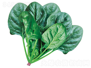 ����501-���˷N��-�����N�I(y��)