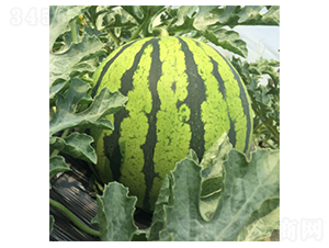 ����189-���ϷN��-�����N�I(y��)