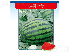 �띙һ̖(h��o)-���ϷN��-�����N�I(y��)