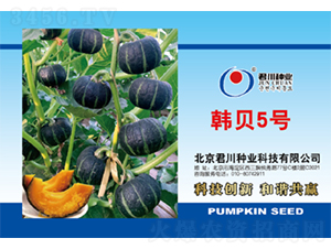 �nؐ5̖-�ϹϷN��-�����N�I(y��)