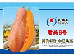 ����6̖-�ϹϷN��-�����N�I(y��)