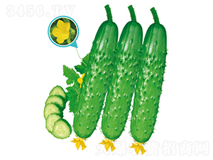 ����(y��u)1̖(h��o)-�S�ϷN��-�����N�I(y��)