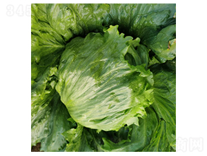 ���������_-���˷N��-�����N�I(y��)